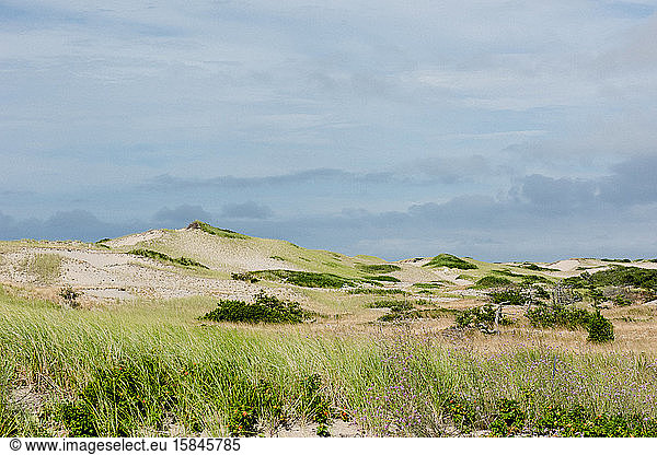Windswept dunes along an isolated coast