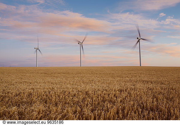 Windturbine Windrad Windräder Energie energiegeladen Sommer Produktion Feld Weizen Abenddämmerung
