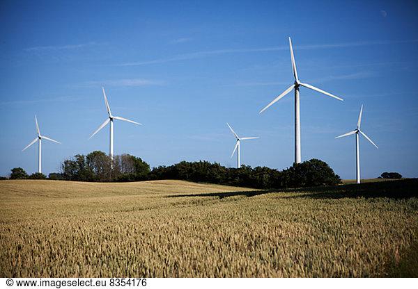 Windturbine Windrad Windräder Feld Fokus auf den Vordergrund Fokus auf dem Vordergrund