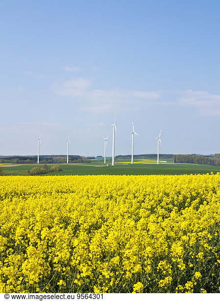 Windturbine Windrad Windräder Feld Fokus auf den Vordergrund Fokus auf dem Vordergrund Canola Deutschland Nordrhein-Westfalen