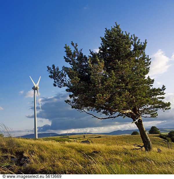 Windturbine Windrad Windräder Frankreich Europa Auvergne