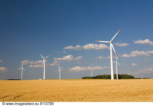 Windturbine Windrad Windräder nahe Kornfeld Europa Stadt Brandenburg Deutschland reif