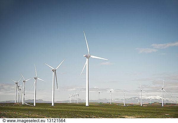 Windturbinen auf dem Feld gegen blauen Himmel