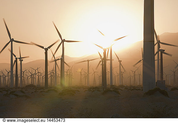 Windturbinen bei Sonnenuntergang