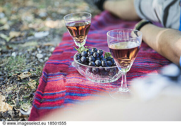 Wine and grapes on outdoor picnic blanket