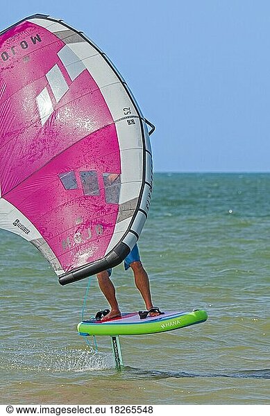 Wing Foiling  Wing Surfing auf der Nordsee mit Wingboarder  Wingboarder auf Foilboard  Hydrofoilboard und einem aufblasbaren Flügel stehend