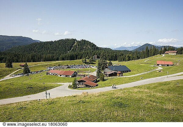 Winklmoosalm  Reit im Winkl  Chiemgau  Oberbayern  Bayern  Deutschland  Europa