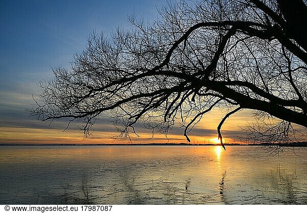 Winter atmosphere on the shore of Lake Dümmer  sunset  ice rink  silence  Lembruch  Lower Saxony  Germany  Europe
