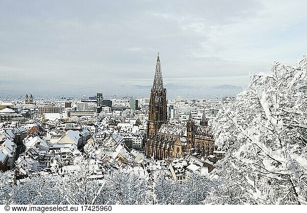 Winter atmosphere with snow  Freiburg Cathedral  Freiburg im Breisgau  Black Forest  Baden-Württemberg  Germany  Europe