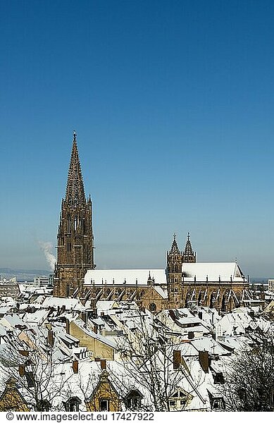 Winter atmosphere with snow  Freiburg Cathedral  Freiburg im Breisgau  Black Forest  Baden-Württemberg  Germany  Europe