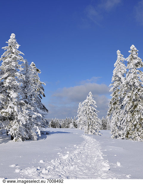 Winter  bedecken  folgen  Landschaft  Deutschland  Schnee  Thüringen