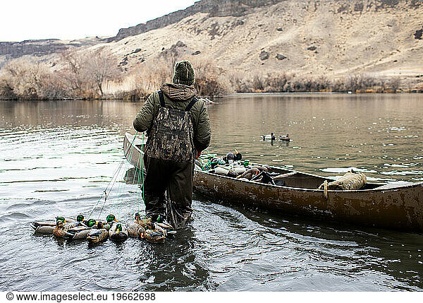 winter duck hunter in waders pulling decoys to his canoe on rive
