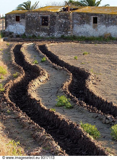Winter folgen Traktor trocken Feld Reis Reiskorn Katalonien Spanien Tarragona Provinz