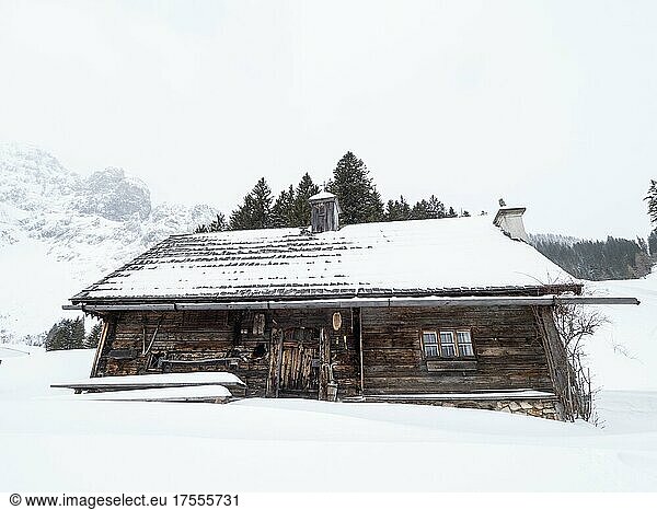 Winter landscape around the Pfarrerhütte  Alpine hut with bell tower  Ardningalm  Ennstal  Styria  Austria  Europe