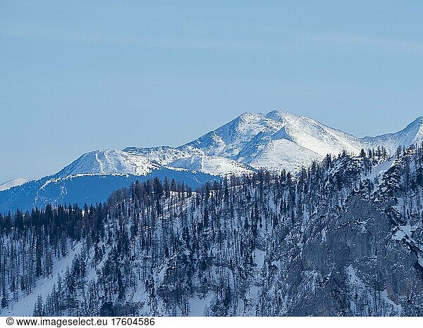 Winter landscape  barren trees and snow-covered mountain peaks  Tauplitzalm  Styria  Austria  Europe