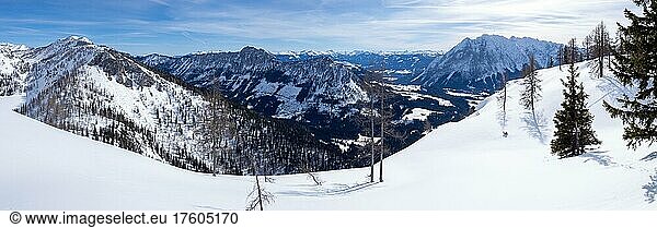 Winter landscape  barren trees and snow-covered mountain peaks  view of the Grimming  panorama shot  Tauplitzalm  Styria  Austria  Europe