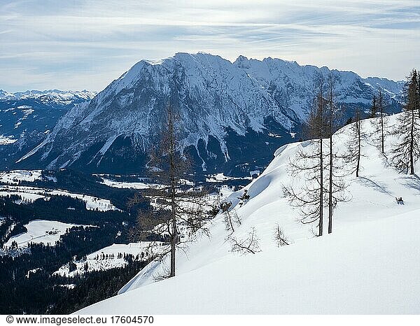 Winter landscape  barren trees and snow-covered mountain peaks  view of the Grimming  Tauplitzalm  Styria  Austria  Europe