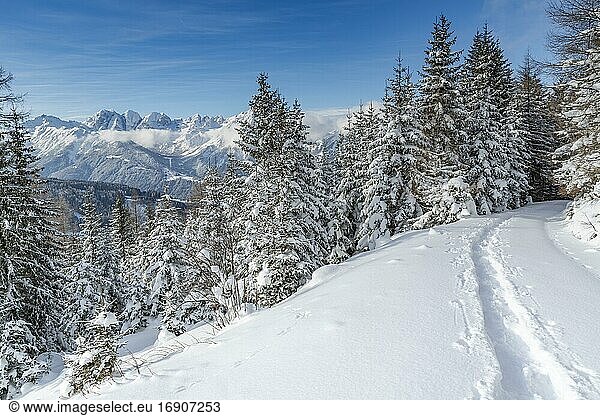 Winter landscape  forest  trace of snowshoes  in the back Kalkkögel  owl meadows  Gleinser Berg  Mieders  Innsbruck-Land  Tyrol  Austria  Europe