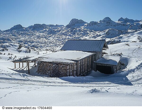 Winter landscape  hut with firewood in front of snowy mountain peaks  Krippenstein  Salzkammergut  Upper Austria  Austria  Europe