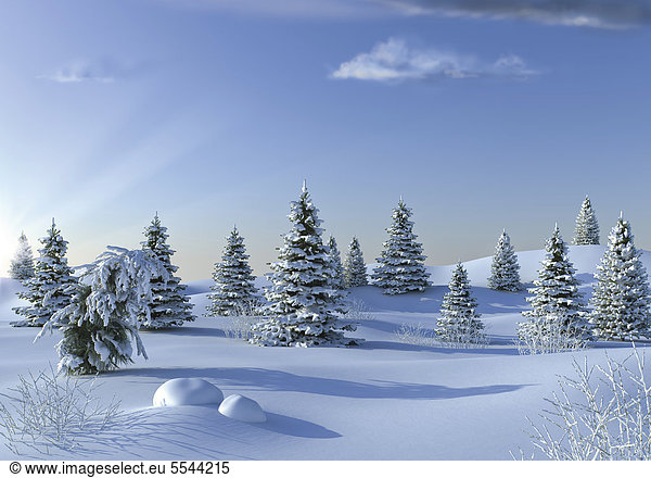 Winter landscape  illustration