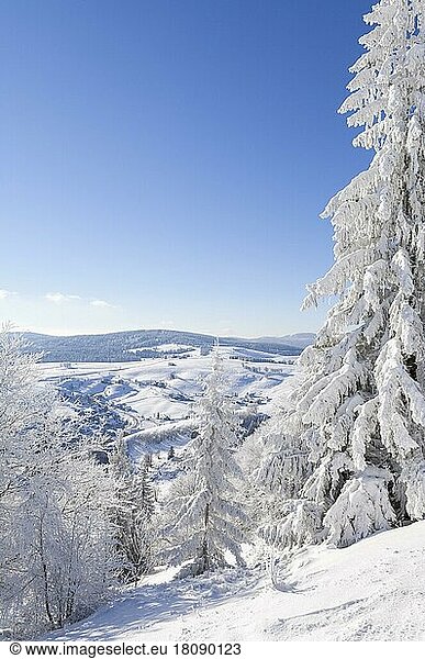 Winter landscape  in the background Hofsgrund  near Freiburg im Breisgau  Black Forest  Baden-Württemberg  Germany  Europe