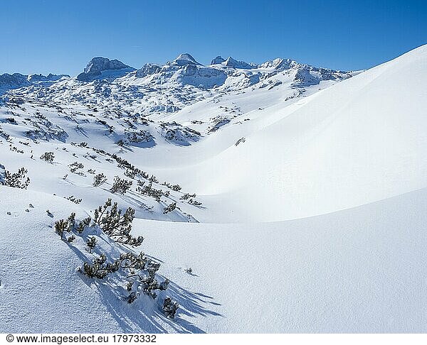 Winter landscape in the snowy Alps  Dachstein massif  view from the high plateau at Krippenstein  Salzkammergut  Upper Austria  Austria  Europe