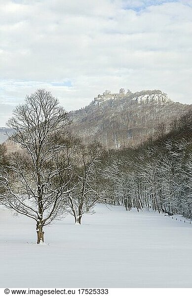 Winter landscape near Bad Urach  Hohenurach castle ruin  Baden-Württemberg  Germany  Europe