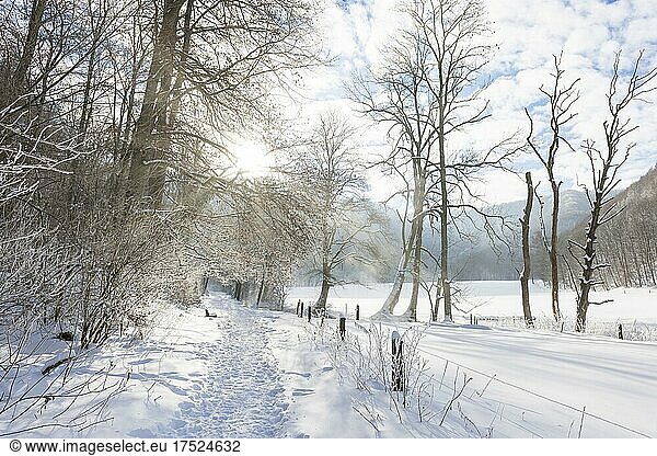 Winter landscape near Bad Urach with tracks in the snow  path  Baden-Württemberg  Germany  Europe