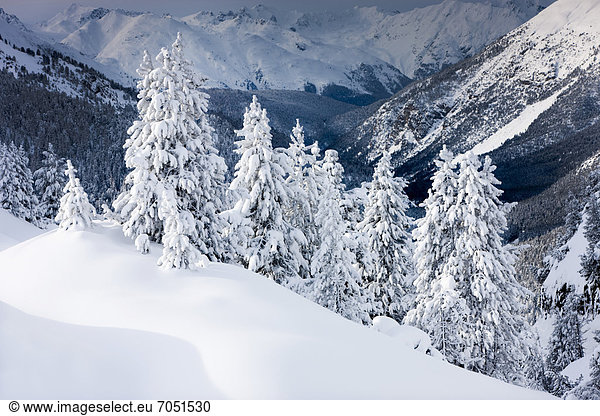 Winter landscape  Ofen Pass  Swiss National Park  Grisons  Switzerland  Europe