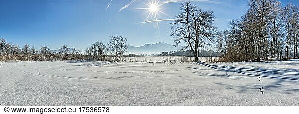 Winter landscape  panorama  snow  Chiemsee  Bavaria  Germany  Europe