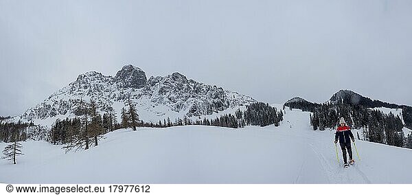 Winter landscape  snowshoe hiker in front of snow-covered peak of Bosruck massif  Ardningalm  Ennstal  Styria  Austria  Europe