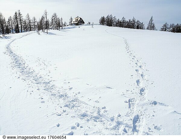 Winter landscape  snowshoe trails to the Linzer Haus  Tauplitzalm  Styria  Austria  Europe