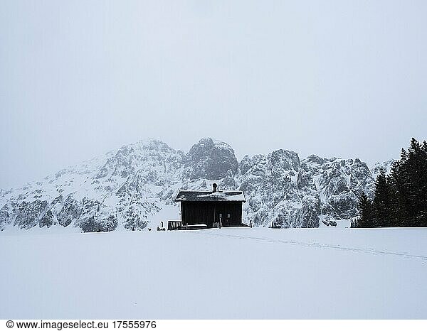Winter landscape with alpine hut in front of snow-covered Bosruck massif  Ardningalm  Ennstal  Styria  Austria  Europe