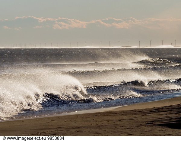 Winter Landschaft Kraft Wind groß großes großer große großen Flussdelta Delta Katalonien Mittelmeer Spanien Tarragona Provinz