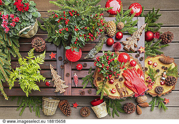 Winter plants  pine cones  Christmas decorations  wooden coasters and gardening gloves on table