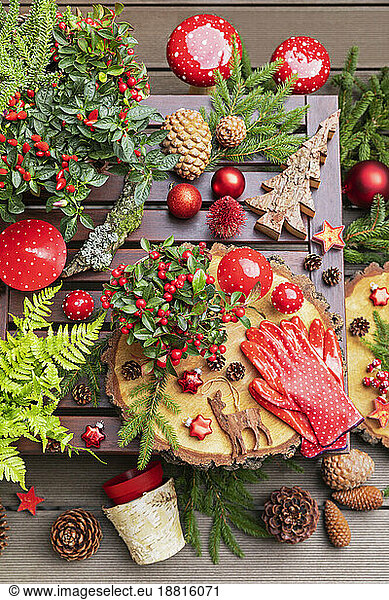 Winter plants  pine cones  Christmas decorations  wooden coasters and gardening gloves on table