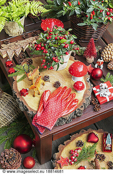 Winter plants  pine cones  Christmas decorations  wooden coasters  gardening gloves and deer figurine on table