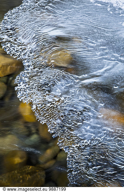 Winter unterhalb Eis Fluss Schneewehe Kristall Adler