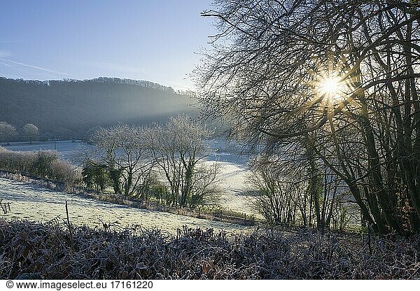 Winterfrost auf dem Lande in der Nähe von Bampton im Exe-Tal  Devon  England.