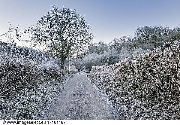 Winterfrost auf dem Lande in der Nähe von Bampton im Exe-Tal  Devon  England.