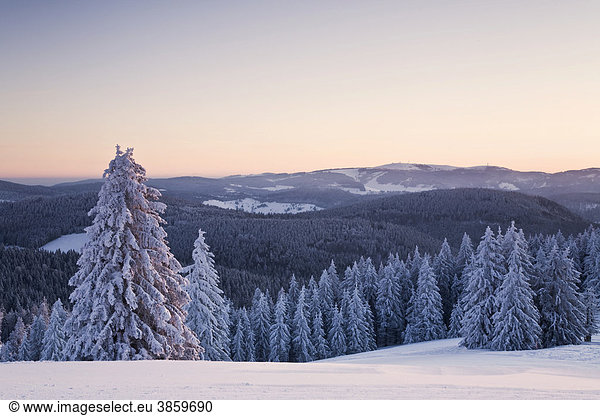 Winterlandschaft am Belchen bei Sonnenaufgang mit Blick zum Feldberg  Schwarzwald  Baden-Württemberg  Deutschland  Europa