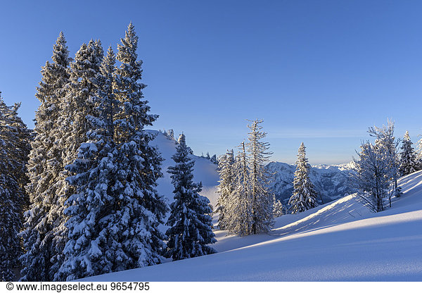 Winterlandschaft am Kasberg  Grünau im Almtal  Kasberg  Salzkammergut  Oberösterreich  Österreich  Europa