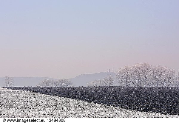 Winterlandschaft: frostbedeckte Felder mit dem Inselberg im Hintergrund  Thüringen  Deutschland  Europa