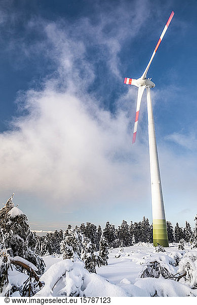 Winterlandschaft mit Windrad an der Hornisgrinde  Schwarzwald  Deutschland