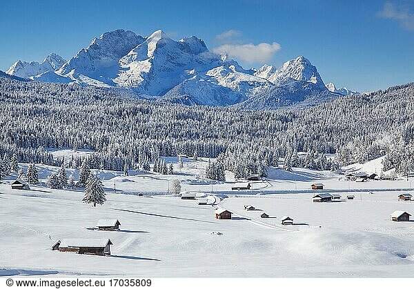 Winterliche Buckelwiesen mit Zugspitzgruppe im Wettersteingebirge  Krün  Werdenfelser Land  Oberbayern  Bayern  Deutschland  Europa