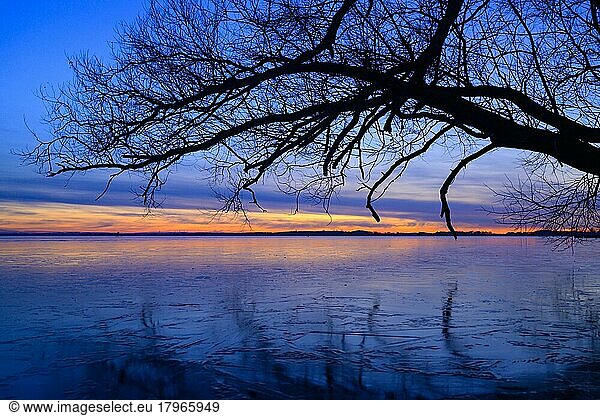 Winterliche Stimmung am Ufer des Dümmer See  Sonnenuntergang  Eisfläche  Stille  Lembruch  Niedersachsen  Deutschland  Europa