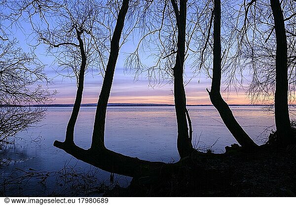 Winterliche Stimmung am Ufer des Dümmer See  Sonnenuntergang  Eisfläche  Stille  Lembruch  Niedersachsen  Deutschland  Europa