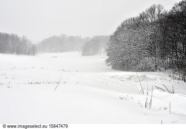 Winterwanderung im Norden Michigans