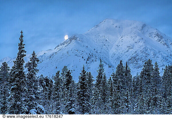 Wintery landscape with snow-covered mountain and glowing moon and a snowy forest in the foreground; Whitehorse  Yukon  Canada