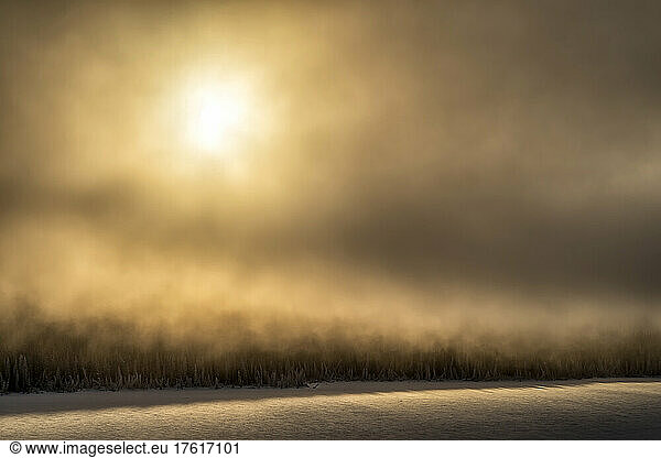 Wintery landscape with sun glowing through the ice fog over a frosty forest; Whitehorse  Yukon  Canada